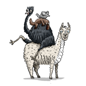 Strange Animal Jokes